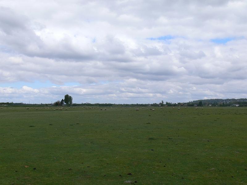 Mont Saint Michel 2010 - 381.jpg